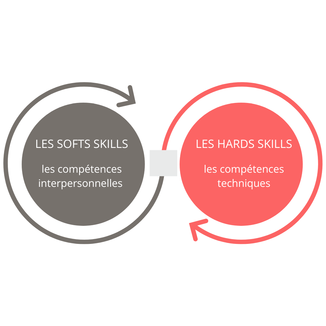 soft-skills-hards-skills Importance de connaîtres les hards skills et soft skills pour un consultant freelance RSE